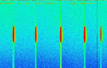 spectre_gerris_lacustris_web.jpg spectre_gerris_lacustris_web.jpg